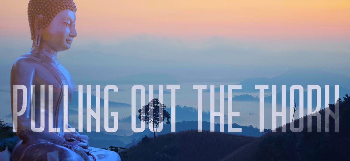 About This Blog
